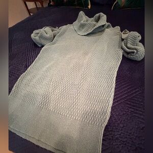 Ann Taylor Sage Cowl Neck Sweater